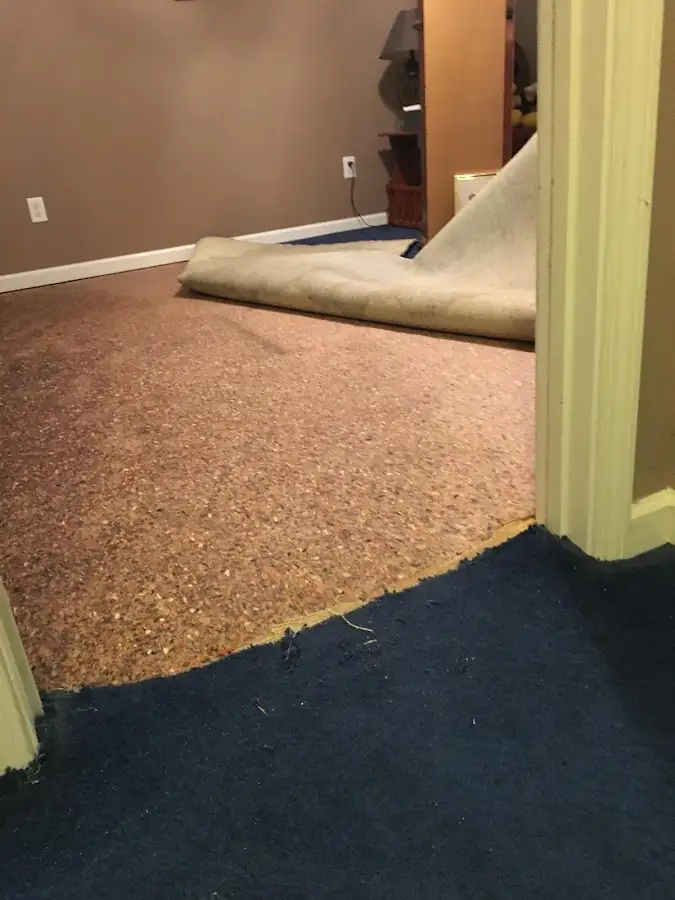 Carpet pad removal revealing water damage during Water Mitigation Services in Peterborough