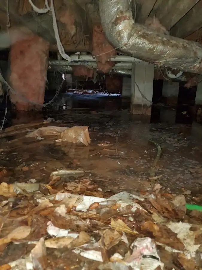 Crawl space flood assessment for Leak Detection & Repair in Peterborough