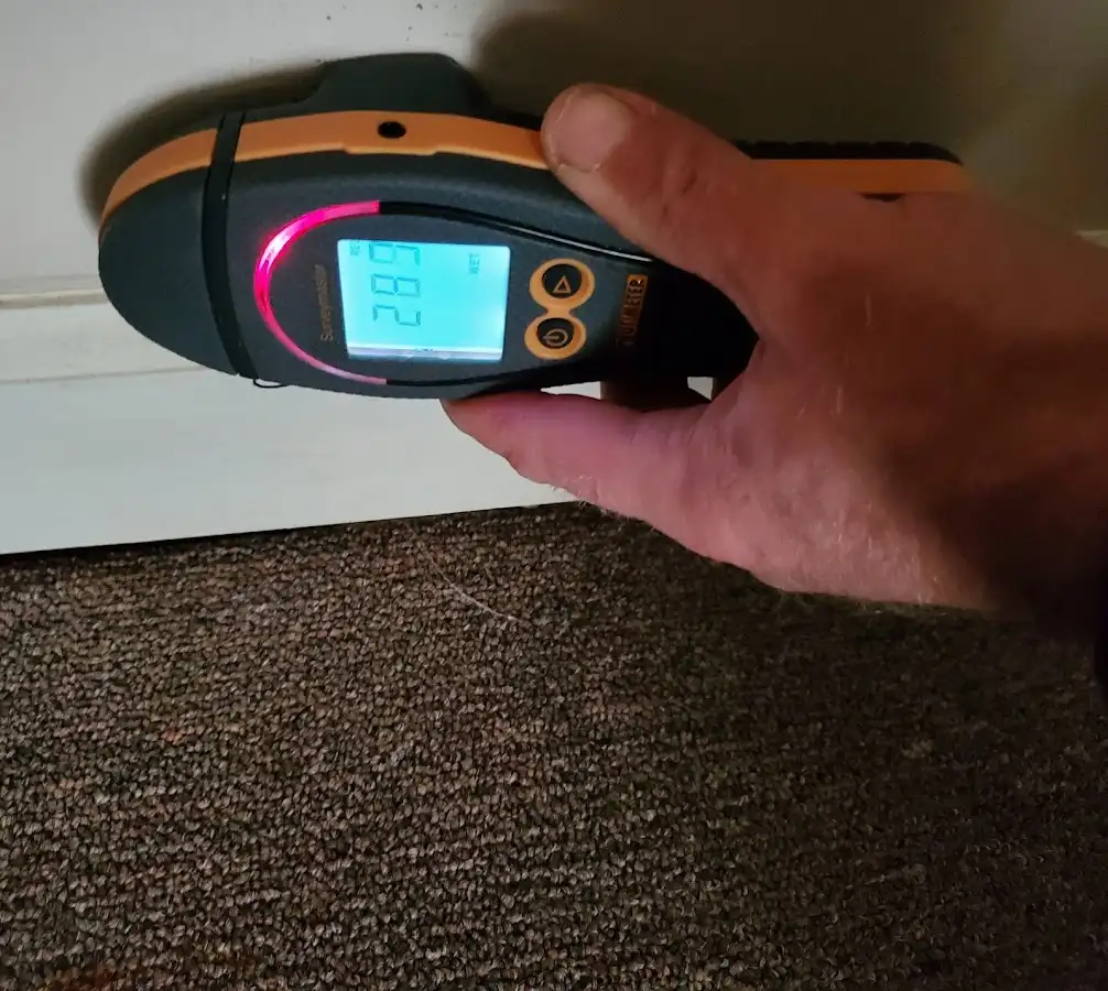 Moisture detection at baseboard during Sewage Cleanup & Sanitation in Peterborough